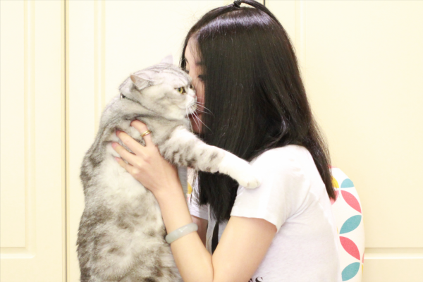 養貓一個月開銷多少？需要做哪些準備？資深鏟屎官為您解答