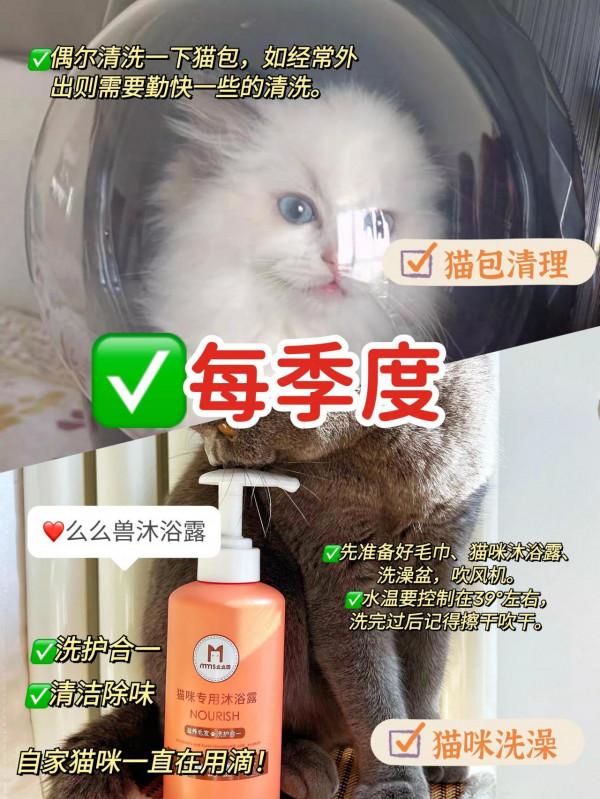 養貓的注意啦！冬天貓咪的這件事最需要警惕