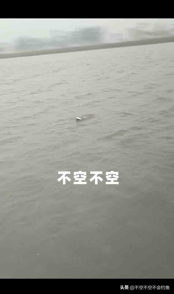 64個大板鯽之三千字帶你深度還原冬季尋鯽之旅