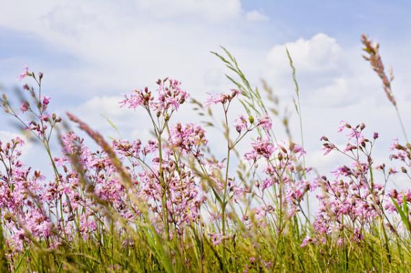 生活總會難過,但好運也會如期而至 生活總會難過,但好運也會如期而至