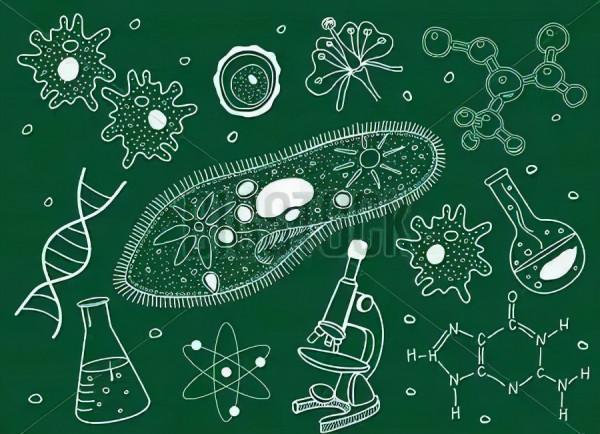 說一說生物的分層現象和水產養殖的分層現象 說一說生物的分層現象和水產養殖的分層現象