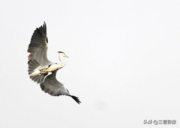 索尼A1相機體驗試拍結果：確實很強