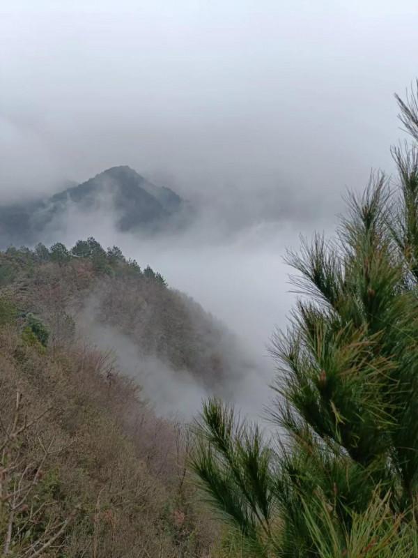 深山的美麗風景