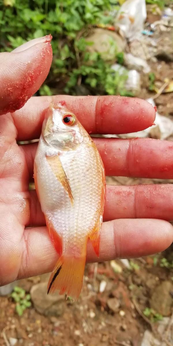 這是牢底坐穿魚嗎？嚇得我趕緊放生了