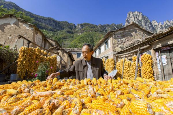 “媽,農活忙完了?”“忙完了”“我還把孩子給您送過去” “媽,農活忙完了?”“忙完了”“我還把孩子給您送過去”