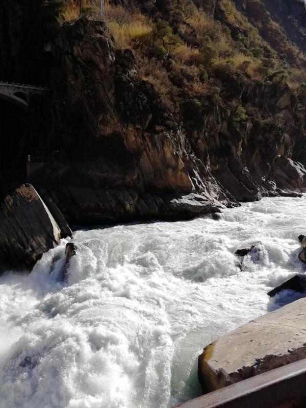 明智之舉還是？