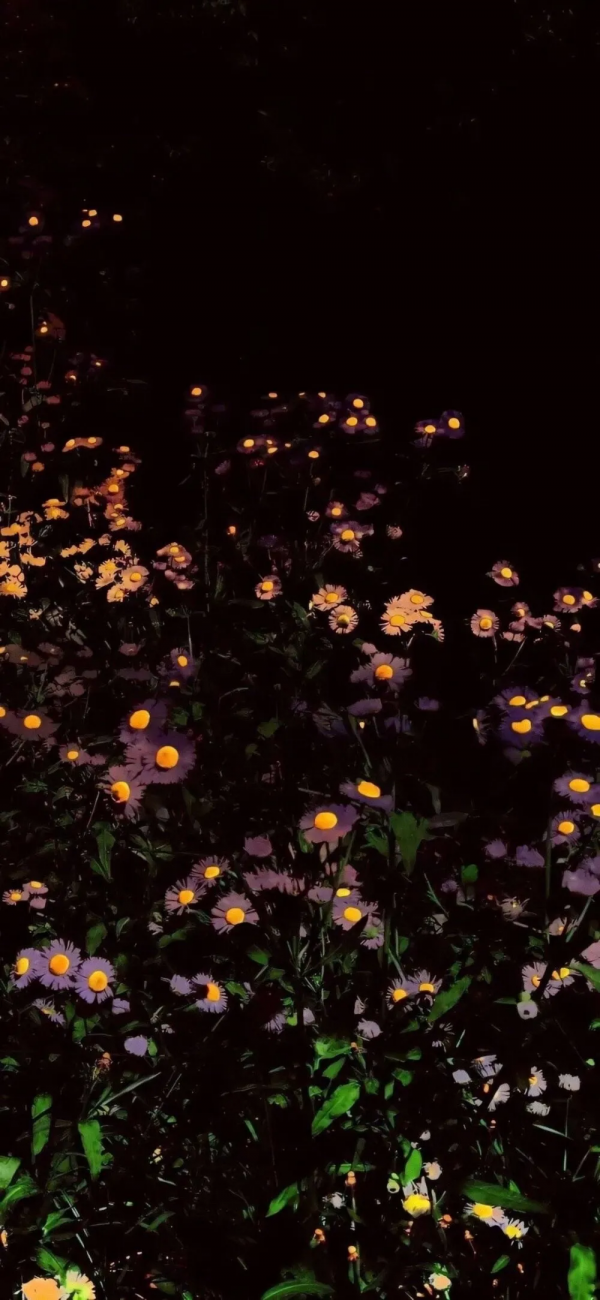 古風動漫頭像，把思念揉碎灑向夜空，便有了滿天繁星