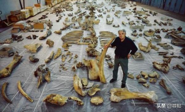 研究表明 尼安德塔人在12.5萬年前改變了地球生態系統