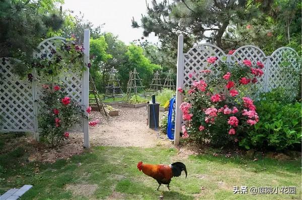 他賣掉城裡的房子，包了個山頭，打造集裝箱陽光房、小木屋、花園
