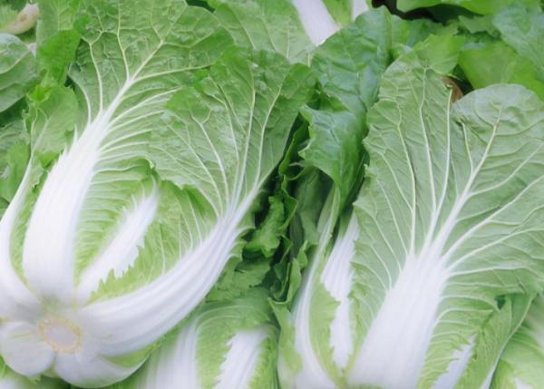 含“寄生蟲”最多的3種蔬菜，沒營養還貴，商家自己都不吃