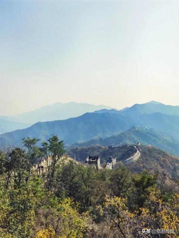 週末京郊遊~爬香山賞紅葉 週末京郊遊~爬香山賞紅葉