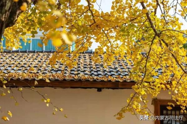 郁達夫:故都的秋 郁達夫:故都的秋