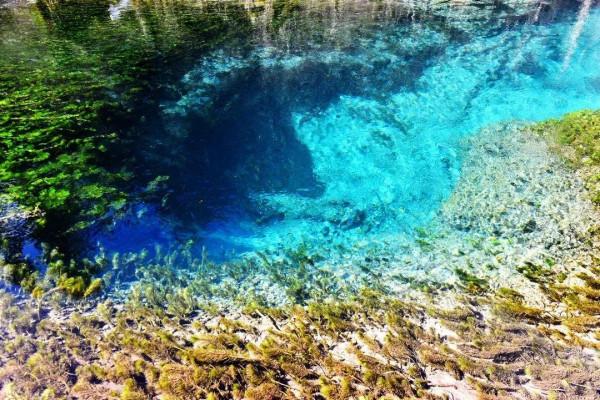 飢寒交迫的旅遊業