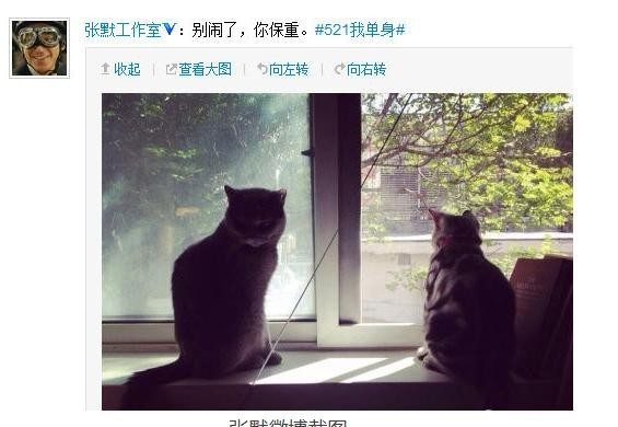 牛萌萌“幻滅史”,她的故事遠比你想得更“毀三觀” 牛萌萌“幻滅史”,她的故事遠比你想得更“毀三觀”