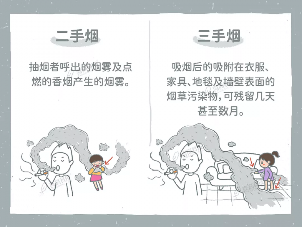 秋天長得慢?家長做到這4點,孩子身高不會矮 秋天長得慢?家長做到這4點,孩子身高不會矮