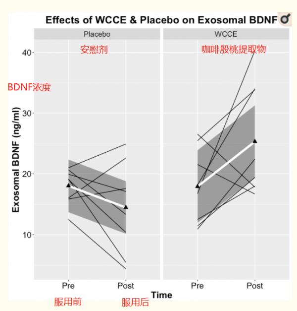 健忘、注意力渙散,原來可能是“腦霧” 健忘、注意力渙散,原來可能是“腦霧”