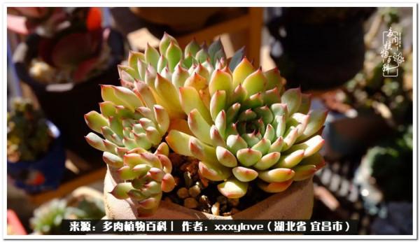 時光匆匆，一閃而逝，這世間萬物的美，都值得被記錄