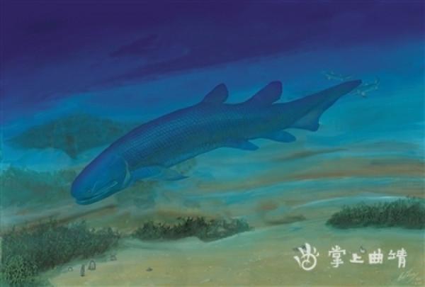 先驅楊氏魚：改寫人們對四足動物起源認知的魚