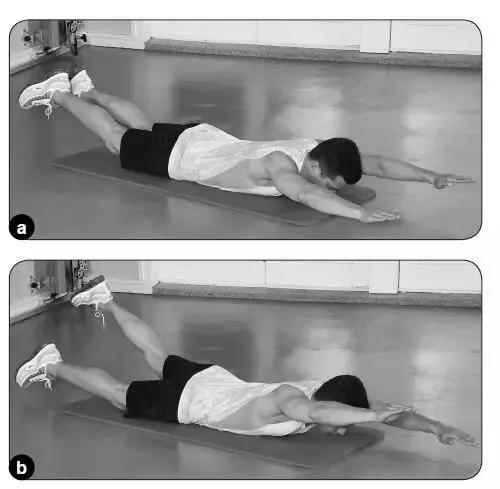 無需任何器材,加強必備的核心肌群訓練,提高跑步效率 無需任何器材,加強必備的核心肌群訓練,提高跑步效率