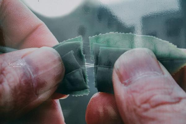 這個建在三峽大壩旁的小城，實力很強卻很低調，擁有大美風光風物