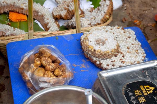 雲南菜市場有多“野”，逛了一圈，讓人眼界大開，幾乎都不認識