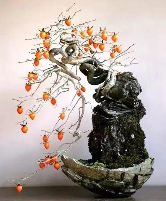 中國盆栽藝術之精品