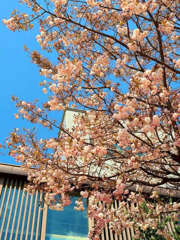 我於我內心所想 我於我內心所想