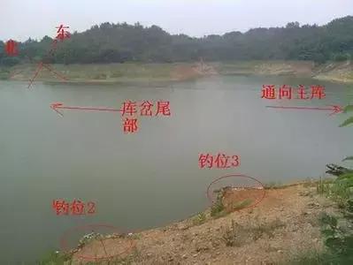 影響釣魚的10大因素