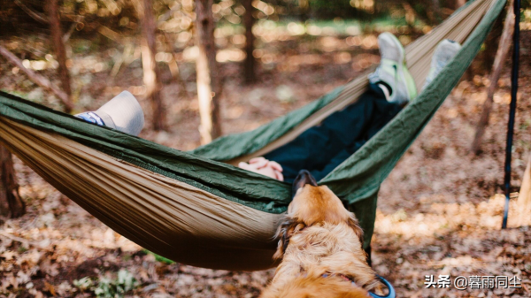 野外如何避免被蛇咬傷，揹包客都應該知道如何處理蛇咬傷的常識