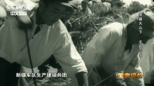 新疆從哪裡來?請記得這些開天闢地的人 新疆從哪裡來?請記得這些開天闢地的人