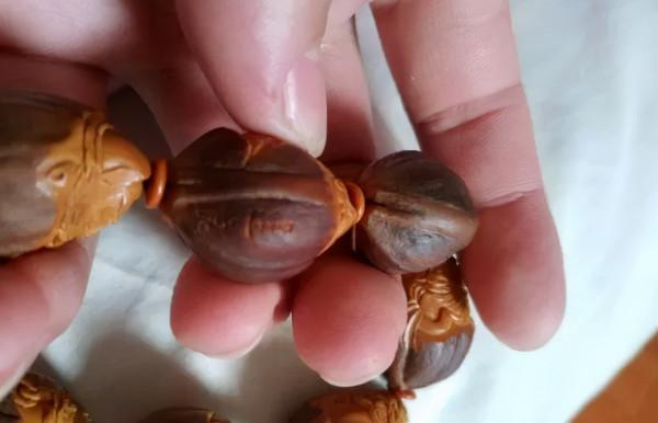 最珍貴的橄欖核 最珍貴的橄欖核