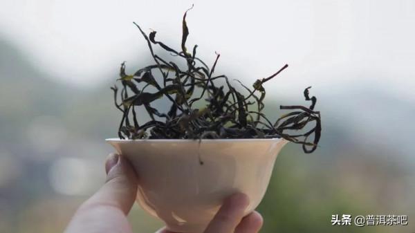 易武微小產區——天門山