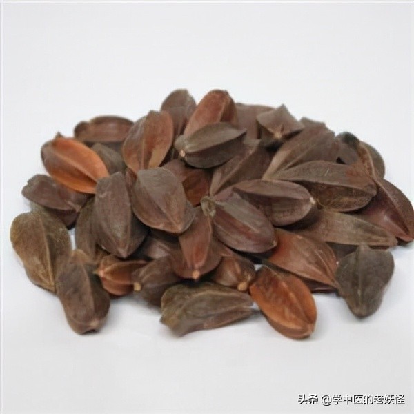 每天學習一味中藥——使君子 每天學習一味中藥——使君子