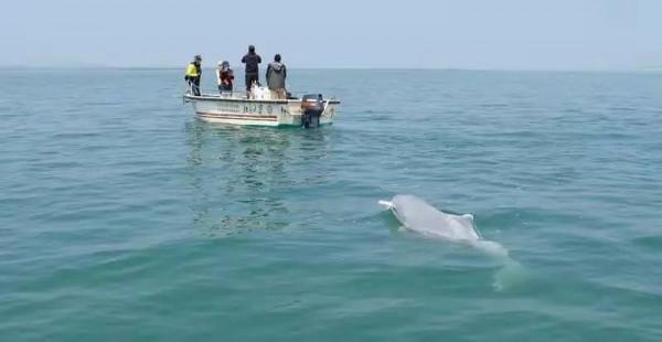天大抵是冷了！帶你偶遇廣西幾處冬遊佳境！| 廣西旅遊年卡