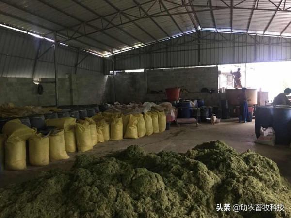 今後只有三種豬場（自有散養豬場）是可以長期保持穩定盈利的