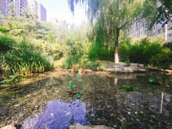 今年四環內預計有近20個10萬+專案,內城樓市將開啟豪門盛宴 今年四環內預計有近20個10萬+專案,內城樓市將開啟豪門盛宴