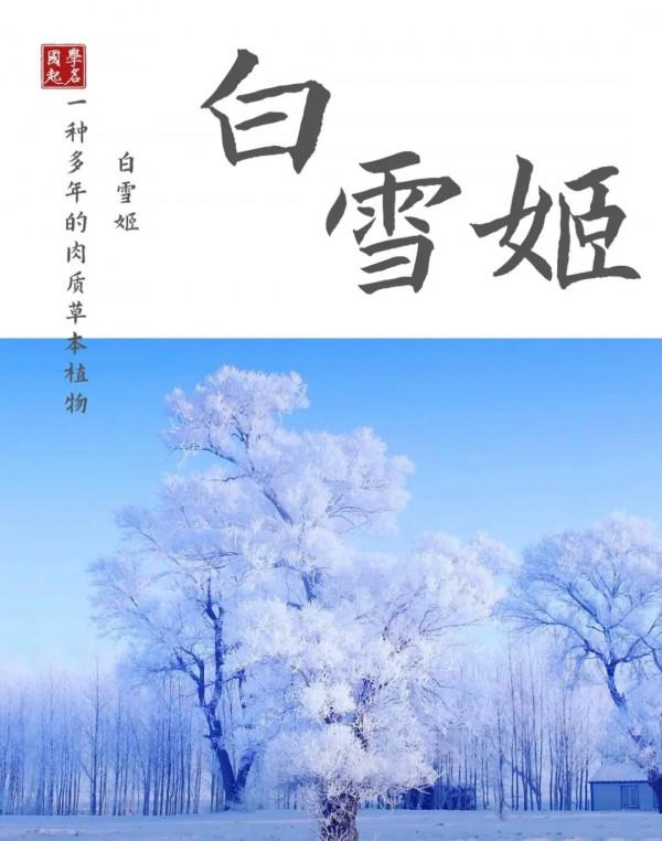 寶寶起名字：好聽有內涵，詩詞中寓意好的男孩名字女孩名字