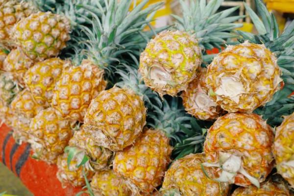 在這裡我毫不焦慮，還實現了水果自由