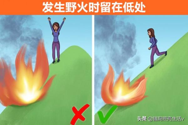 生活中鮮少讓人知曉，但卻可以在關鍵時刻化險為夷的9個技巧