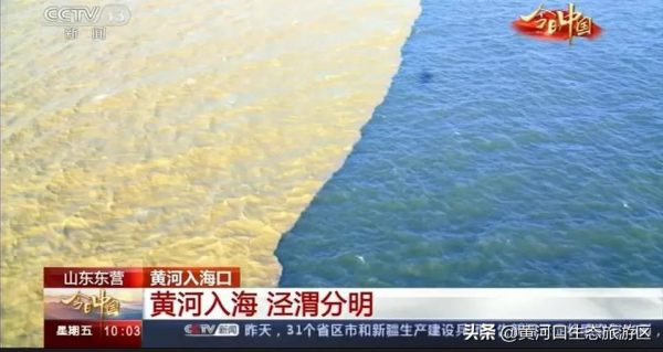 【黃河口生態旅遊區】新晉百強 華東第一! 【黃河口生態旅遊區】新晉百強 華東第一!