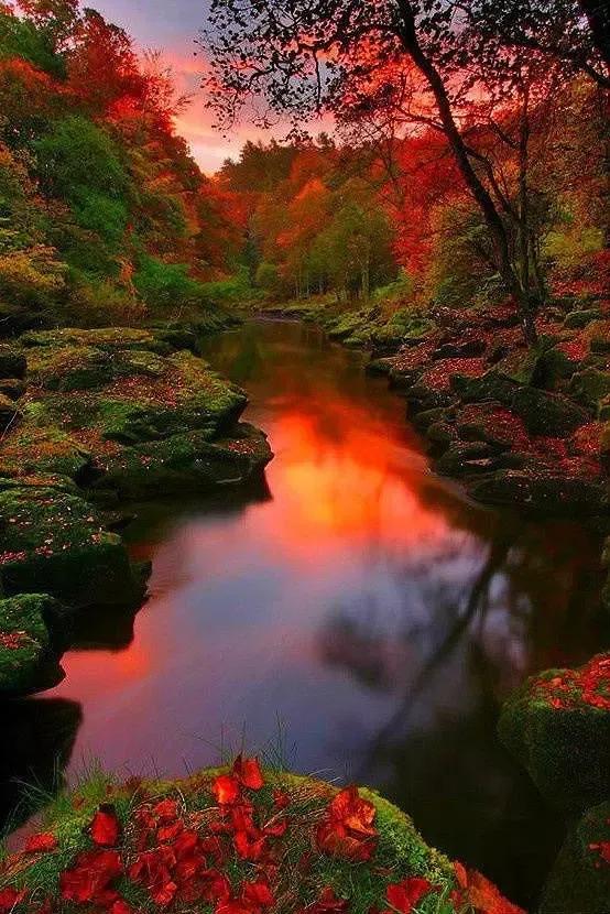 人間仙境美極了