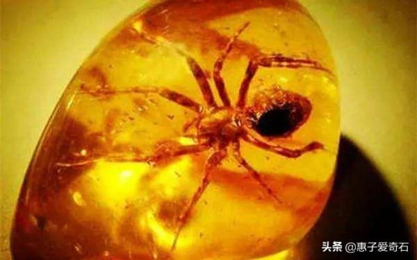 最貴的化石拍出2&period;16億，但有些&OpenCurlyDoubleQuote;化石&rdquo;並非化石