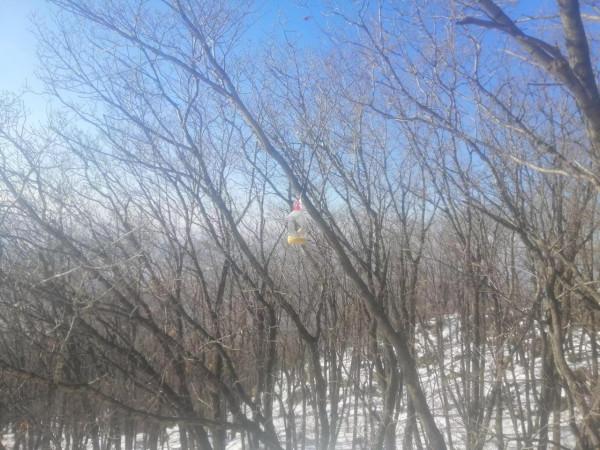 李雲龍的一個連隊為什麼能阻擋日軍一個聯隊八小時？