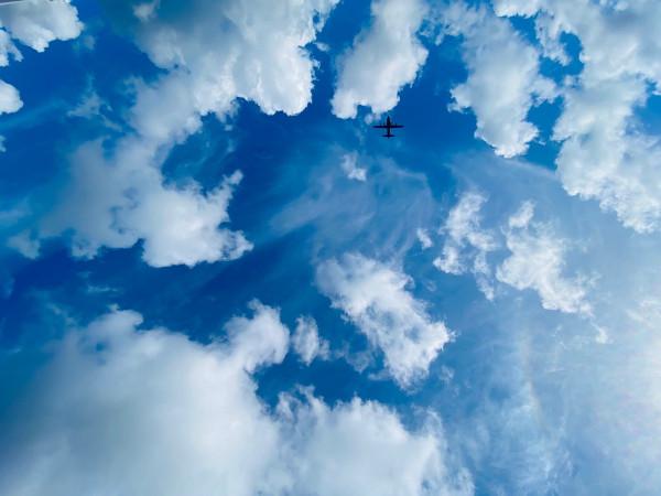 人物 | 阿富汗首支女子車隊隊長：性別歧視與逃離祖國