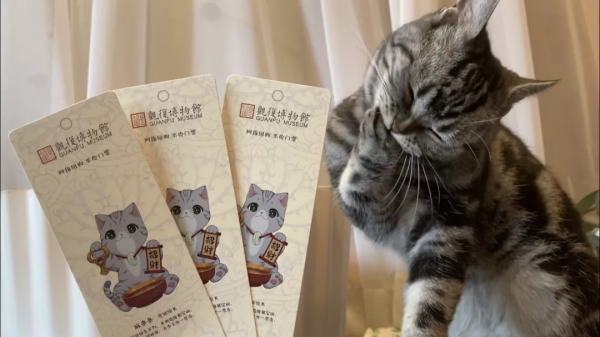 貓館長的業餘生活，大公開