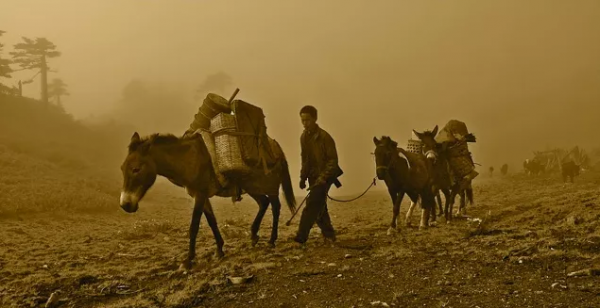 中國西南最偉大的古道，早該火了