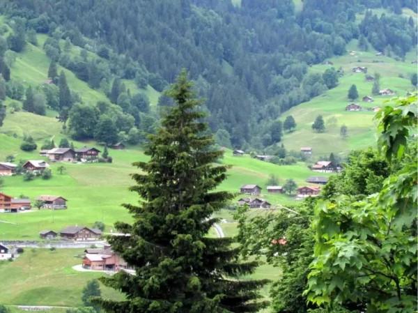 瑞士之行——從蒙特勒到格林瓦爾德