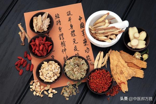 郝大夫說葛根:保護心腦血管,養肝護肝!作用全面的中藥本草 郝大夫說葛根:保護心腦血管,養肝護肝!作用全面的中藥本草