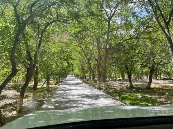 回到去往紅其拉甫的路上。仍是一路雪山相伴 回到去往紅其拉甫的路上。仍是一路雪山相伴