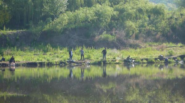 魚獲差異如此之大，從各個方面對比，我發現差的是這些細節